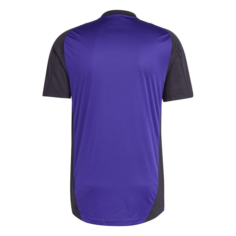 Camisa Alemanha treino 24/25